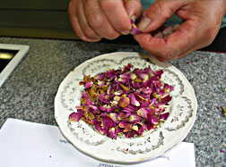 In Rosen schwelgen - 2006 - Bild Nr.11