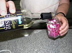 In Rosen schwelgen - 2006 - Bild Nr.19